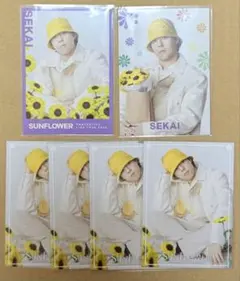 FANTASTICS 世界　フォトカ　シクレ&ノーマル　セット