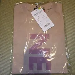 RADIOEVA NERV T-Shirt スモーキーピンク L