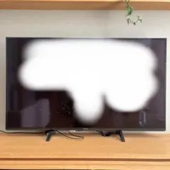 Panasonic 液晶テレビ 55インチ 画面映りません、ジャンク品です
