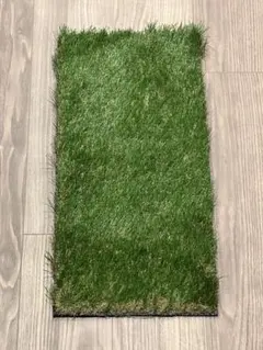 Item thumbnail for item da9534d3-1d13-496f-8137-f3a1b70785b5