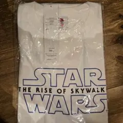 Item thumbnail for item 38cee3dd-4b72-4c63-a77e-c8d013bef3e5