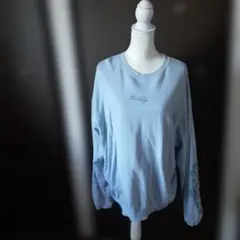 Item thumbnail for item d42baf69-cfc2-482b-bddc-56a0c5efe0b2