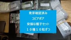 2026年最新】copiapoaの人気アイテム - メルカリ