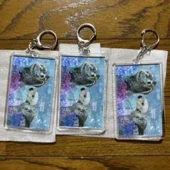 7月1日新商品 鳥羽水族館 ラッコ メイ キラ キーホルダー 4個セット
