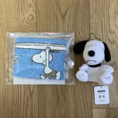 スヌーピー クールタオル ポーチ付き マスコットキーホルダー セット
