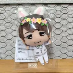 ひょろっと男子 うさぎポンチョ&タキシードver．ぬいぐるみ　西山宏太朗