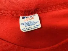 80’sチャンピオン★トリコタグWatkins GlenサーキットUSA製L