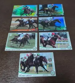 メジロマックイーン 他メジロ軍団　オーナーズホース