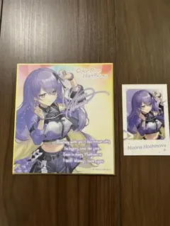 姫森ルーナ メッセージ色紙 ホロライブexpo 6thfes チェキ風カード