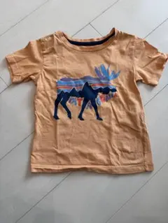 Patagonia ムースプリント Tシャツ　3Tのサムネイル