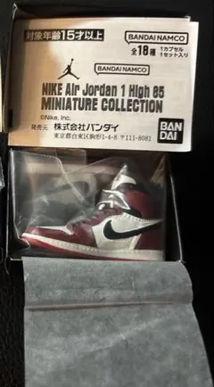NIKE エアジョーダン ガチャ ミニチュアコレクション CHICAGO シカゴ