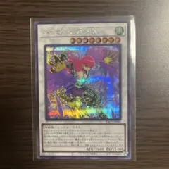 遊戯王 ハーピィ・レディ・SC