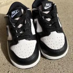 パンダダンク、エアフォース