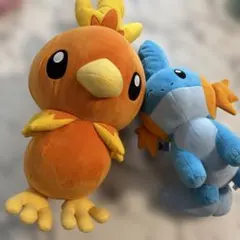ポケモン不思議のダンジョン 救助隊DX ピカチュウ アチャモ ぬいぐるみ