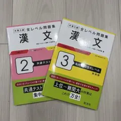 【未使用】大学入試 全レベル問題集 漢文 2・3 セット