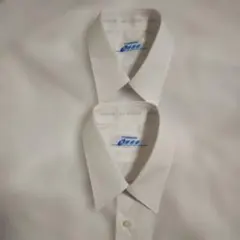 Item thumbnail for item 5f4fadfd-1366-4cfb-a233-0b5990c73245