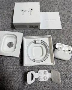 Apple AirPods Pro 第一世代 本体のサムネイル
