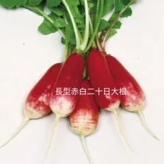 minmin様 リクエスト 3点 まとめ商品