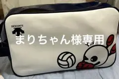 데센테 바보짱 배구화 가방