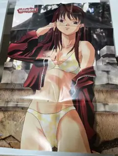 Item thumbnail for item 68456ca3-e56f-461f-ab9f-dd96bd17a752