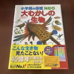 【要自己紹介一読:美品】小学館図鑑NEO 大むかしの生物