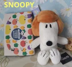 Vintage PEANUTS ウィッグぬいぐるみS・ジャバラ収納ポーチ