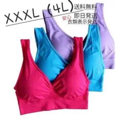 ✨【XXXLサイズ】ジニエブラ　3色セット　パステルカラー✨