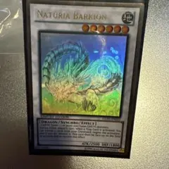 北米版 ナチュルパルキオン ホログラフィック ゴースト 遊戯王 英語 米
