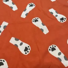 ニット生地BEのサムネイル