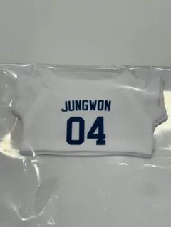 ENHYPEN ジョンウォン　ヌイ　ぬい　10センチ用　ヌイ服