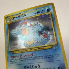 オーダイル　旧裏②