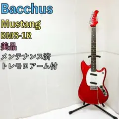 美品 GrassRoots グラスルーツ Stratocaster ピンク 1H - メルカリ