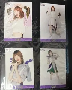 2025年最新】豆柴の大群の人気アイテム - メルカリ