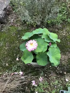 洋壱さん専用投稿