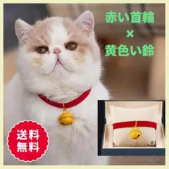 Item thumbnail for item 40b4bcdd-501e-4cc5-a33b-05f058f48639