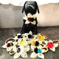 Item thumbnail for item 4ade97c3-ae52-4715-8d57-3b40ac57e8c2