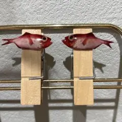 魚ミニクリップ　金目鯛ver