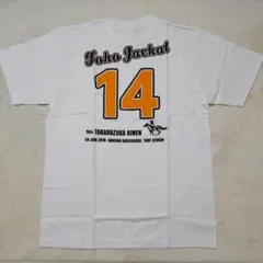 Item thumbnail for item 00fcd514-396e-4877-9758-63f6806a7aff