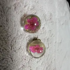 押し花入り透明ドーム型ピアス