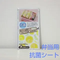 Item thumbnail for item 9f40fdc8-e6a0-4208-ad1e-011dedbdf96b