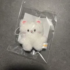 Stray kids ジニレット skzoo ぬいぐるみ マイクロ キーリング