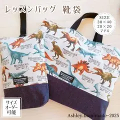 入園 入学 ハンドメイド レッスンバッグ 靴袋 絵本袋 図書袋 恐竜 男の子