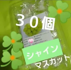 2026年最新】ムラマツ製菓の人気アイテム - メルカリ