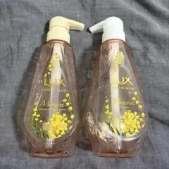 Item thumbnail for item 92d9390c-e486-490f-8870-1f183782a0f0