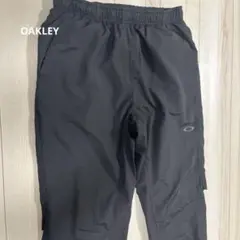 Item thumbnail for item 8ce69d62-d57b-4e01-9253-c165e07e5cd3