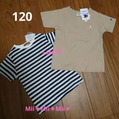 チャンピオン＆ボーダー　トップス2点セット