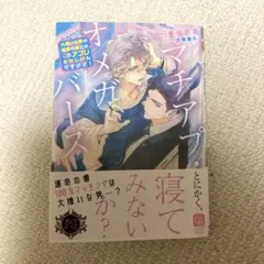 Item thumbnail for item b60781ef-5e84-430d-bfaa-859cc8af0c94