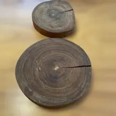 Item thumbnail for item 72fc5f84-1ceb-41c9-8574-ecea455454af