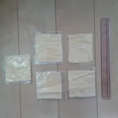 Item thumbnail for item db2ca7f0-dd79-4139-a5ef-1cb2bc0a6588