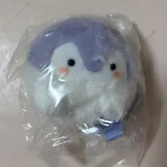 2026年最新】流れ星コウペンちゃんの人気アイテム - メルカリ